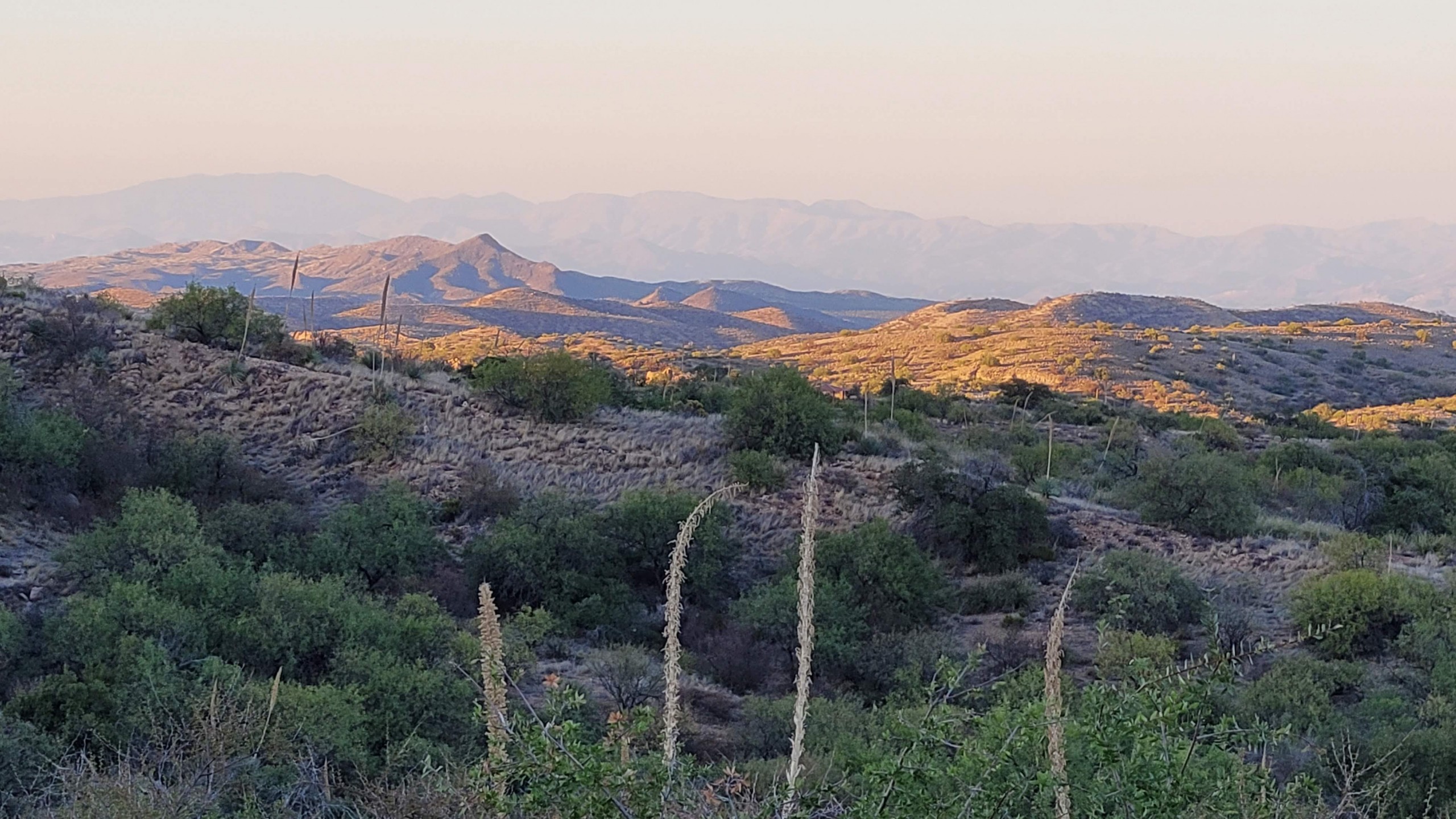 Views at C.O.D. Ranch